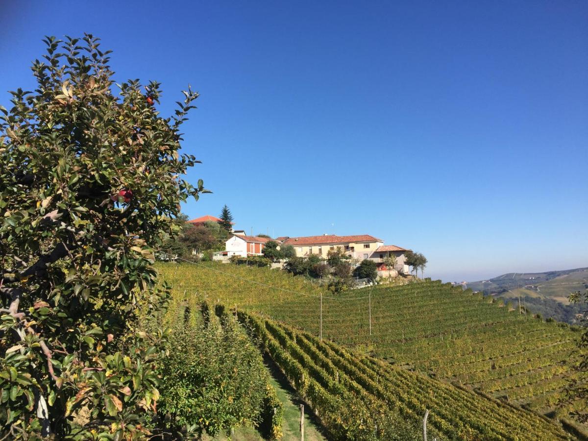 Agriturismo Finestre di Langa Trezzo Tinella Esterno foto