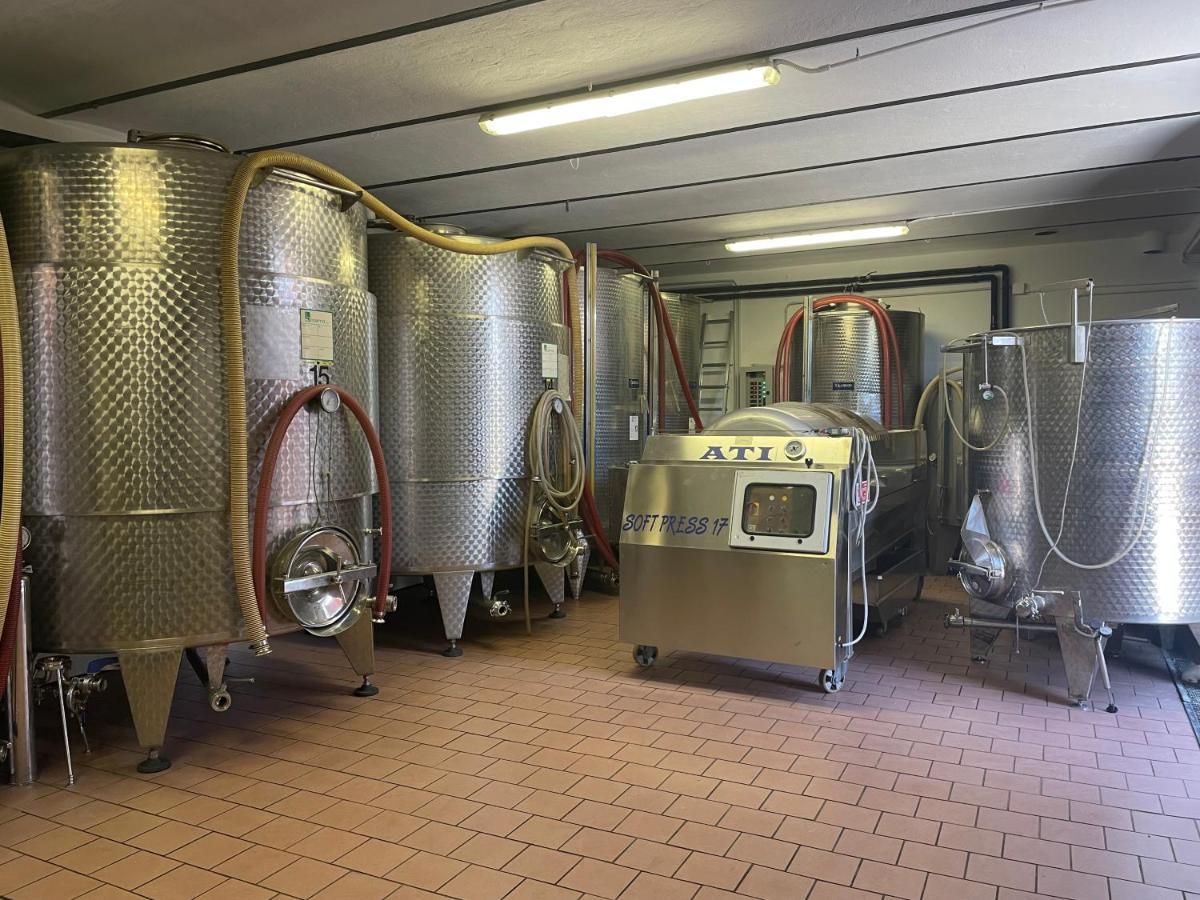 Agriturismo Finestre di Langa Trezzo Tinella Esterno foto