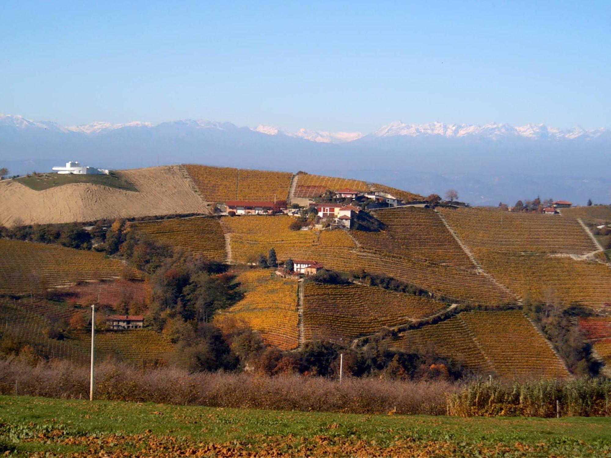 Agriturismo Finestre di Langa Trezzo Tinella Esterno foto