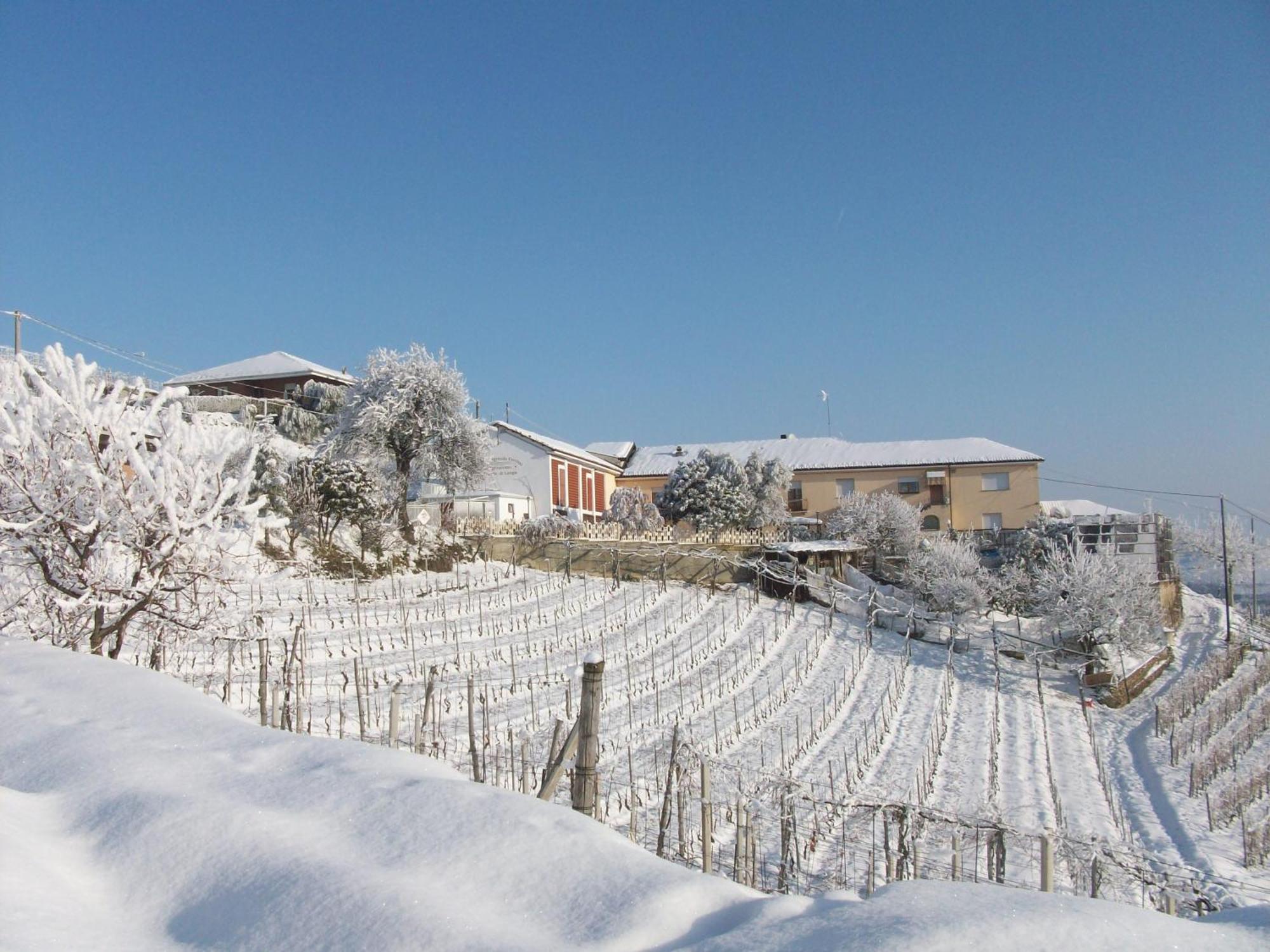 Agriturismo Finestre di Langa Trezzo Tinella Esterno foto
