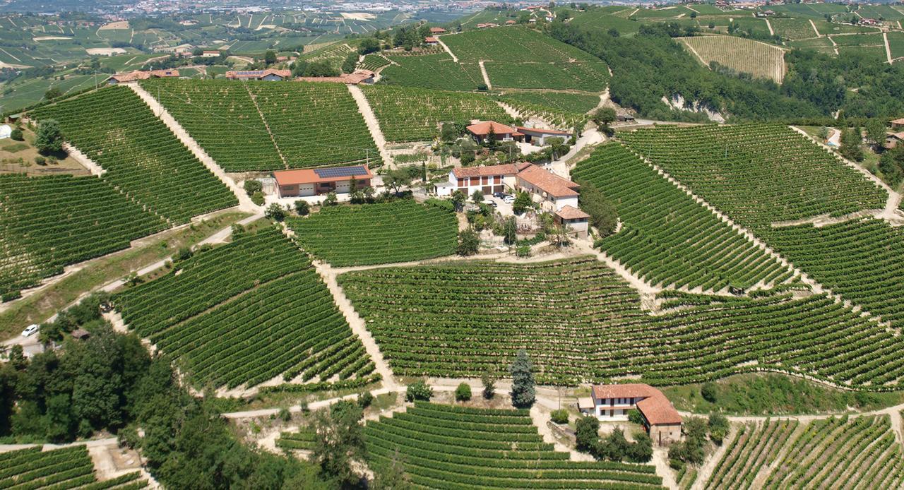 Agriturismo Finestre di Langa Trezzo Tinella Esterno foto